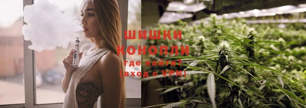 spice Карпинск