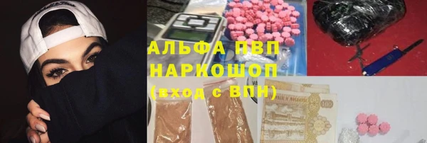 spice Карпинск