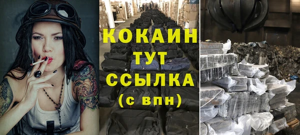 spice Карпинск
