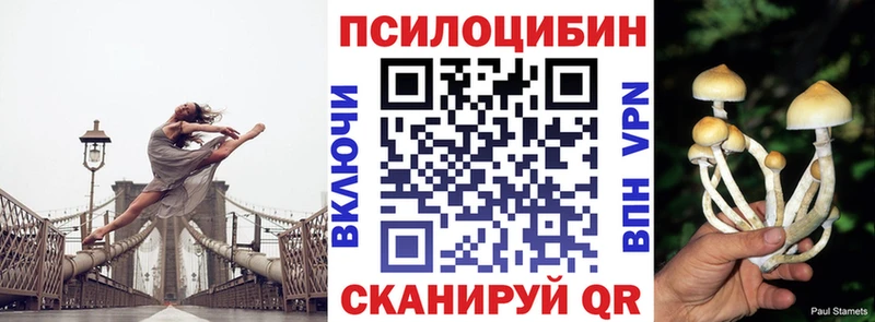 Псилоцибиновые грибы Cubensis  Купить закладки  Вичуга 